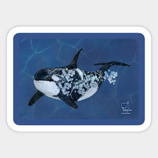 orca Sticker